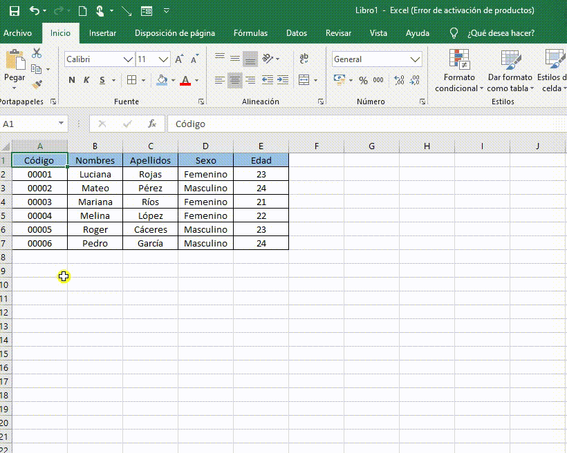 Formulario de datos Excel