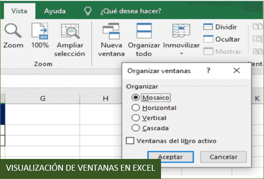 Visualización de ventanas en Excel