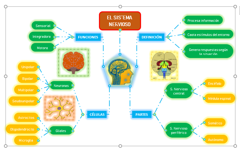 Cómo hacer un mapa mental en Word