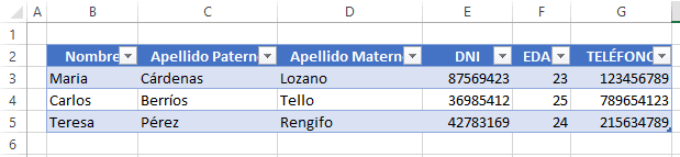 Cómo crear formulario en Excel
