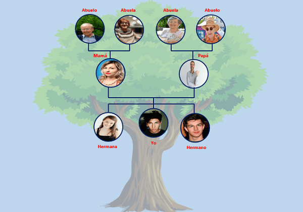 Cómo hacer un ÁRBOL GENEALÓGICO para NIÑOS - Fácil y creativo