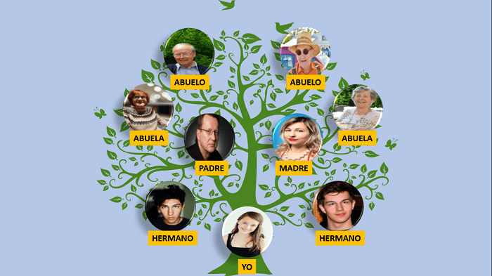 Rápido Cambiable Fructífero Cómo hacer un árbol genealógico en PowerPoint con animación - Tecpro Digital