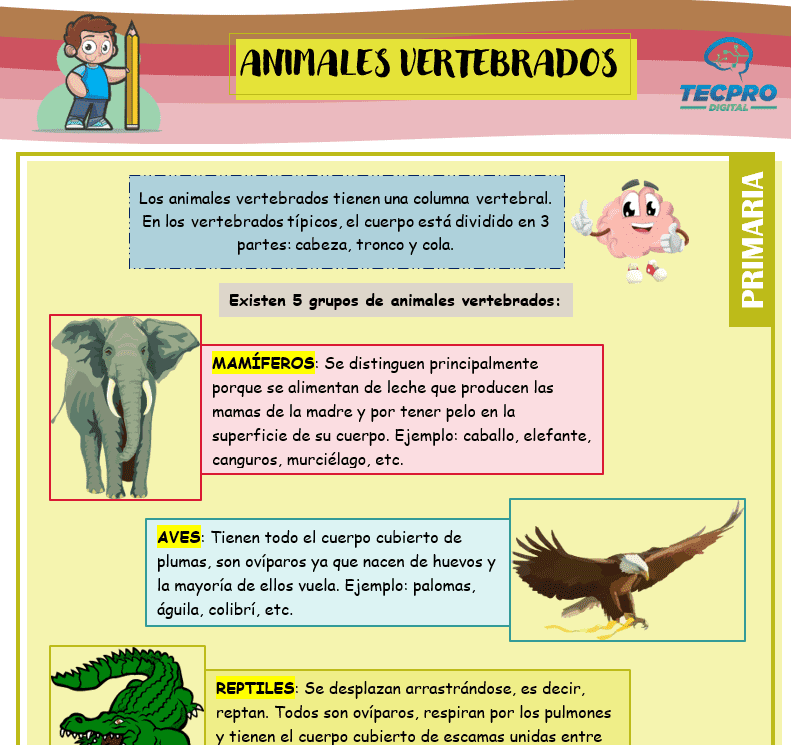 Animales vertebrados para tercero de primaria - Ciencias naturales