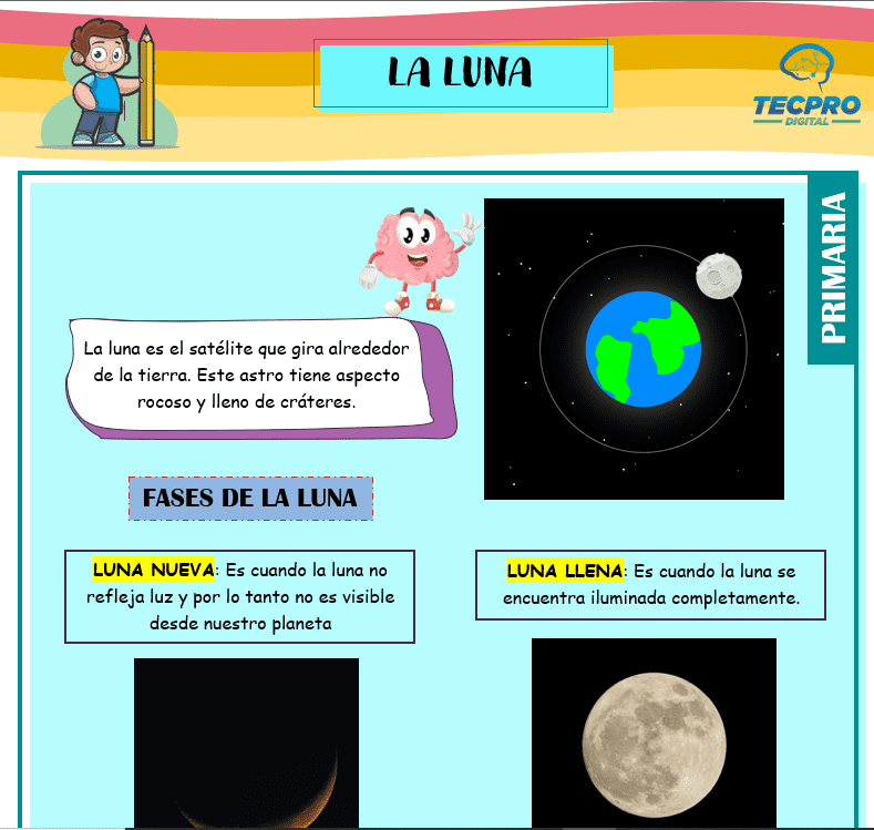 La luna y sus fases para primero de primaria - Personal social