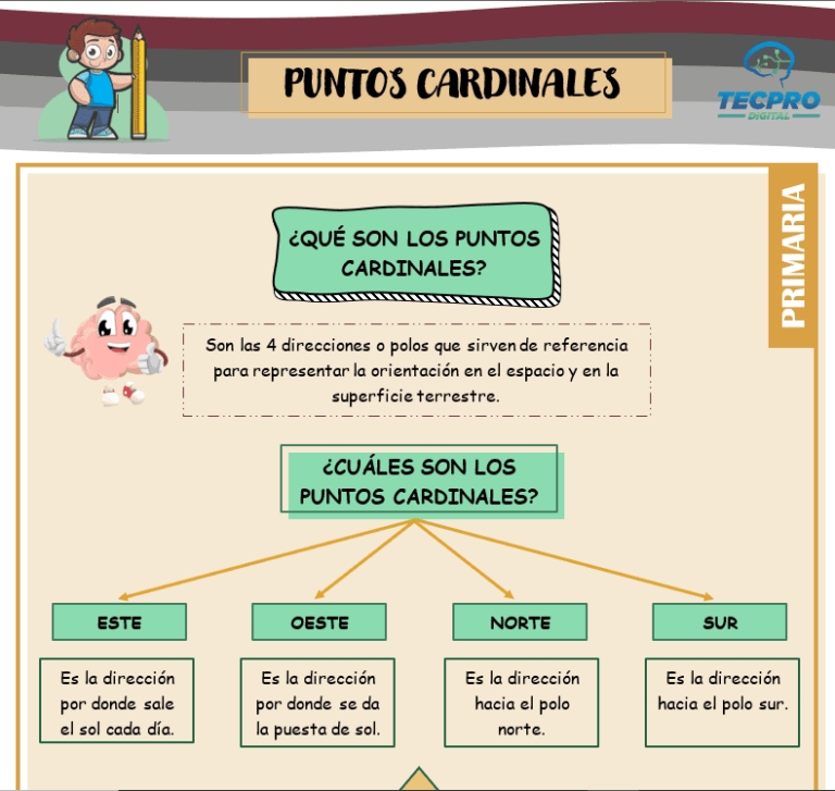 Puntos cardinales para sexto de primaria - Ciencias sociales