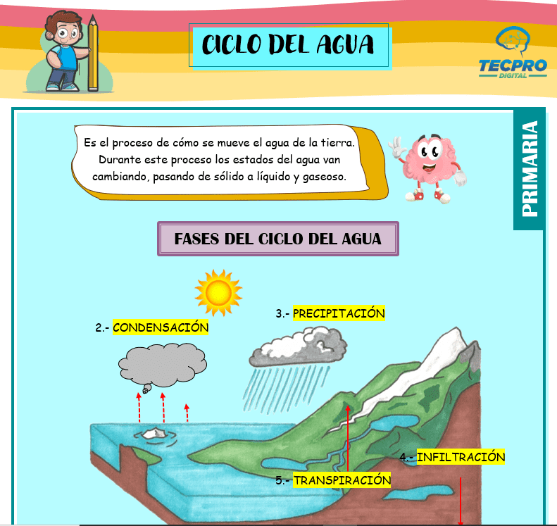 Ciclo del agua en la naturaleza para segundo de primaria - Ciencias sociales