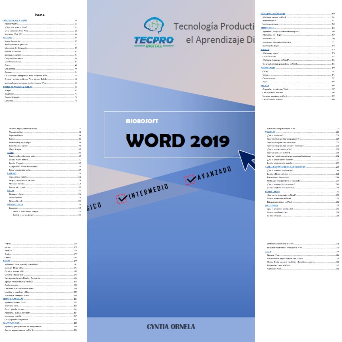 Libro o manual en PDF de Word 2019 para principiantes y avanzados