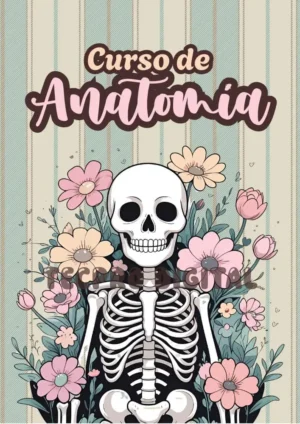 Carátulas de Anatomía para Imprimir en PDF - Portadas Creativas